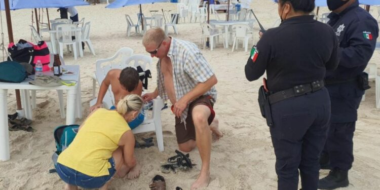 Turistas del crucero 'Carnival Breeze' son atacados por rayas en la playa de Progreso: EN VIVO