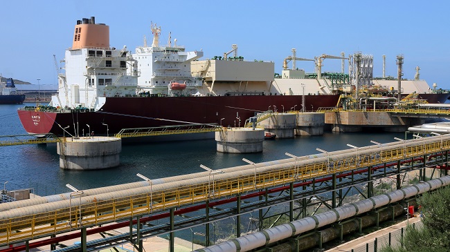 Un primer semestre de récord confirma el liderazgo del Puerto de Cartagena en volumen de importaciones