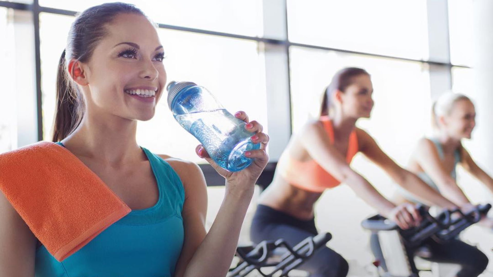 Shipland también ofrece la posibilidad de ir al gimnasio o al spa, hacer deportes, clases de yoga, meditación, bienestar corporal y sexología (Créditos: Prensa Shipland)