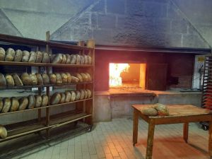 La gastronomía de la región de Taranto, un aliciente para las escalas de cruceros