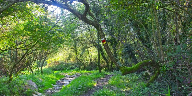 Parque Natural de Pagoeta