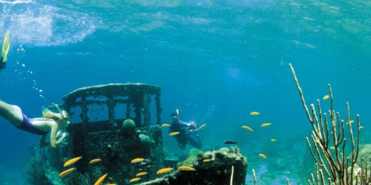 A más de 33% de los colombianos les gustaría aprender una habilidad mientras viajan