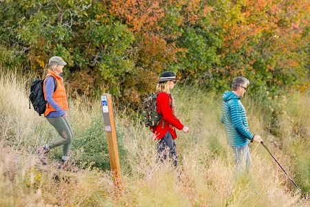 Senior travelers, la nueva tendencia de viajeros de más de 60 años