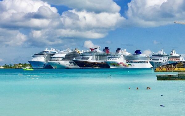 Ataque de tiburón mata a huésped de crucero en Bahamas – PortalPortuario
