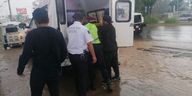Atropellada en crucero de Hacienda Blanca