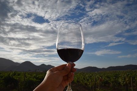 Celebran el Dia Internacional del Cabernet Sauvignon con un vino de Baja California
