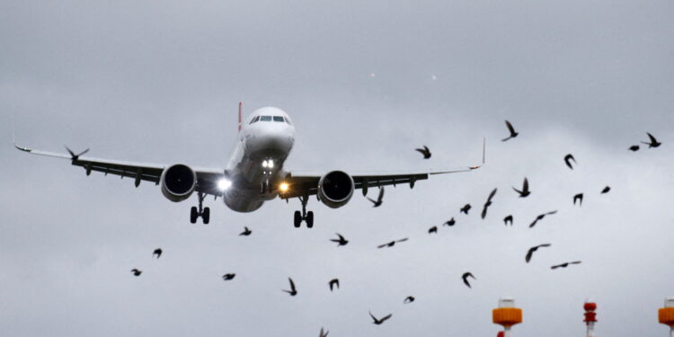 De cara al verano, Aerolíneas Argentinas y GOL aumentan sus vuelos entre Brasil y Argentina. (REUTERS/Arnd Wiegmann/File Photo)