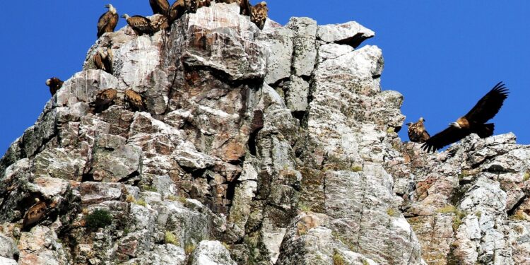 Descubre las mejores actividades, experiencias y turismo activo en Extremadura