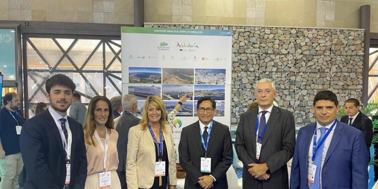 El Puerto de Huelva se reúne con navieras para potenciar las escalas de cruceros