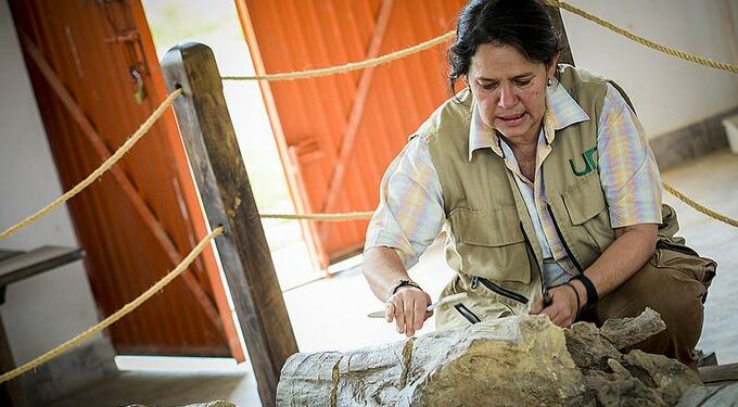 El fósil de Sáchica se convertirá en sitio de atracción turística