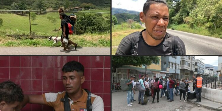 En pequeños grupos, decenas de "caminantes" avanzan hacia un paso ilegal en la frontera de Venezuela con Colombia, primera escala hacia Estados Unidos en una odisea a pie que incluirá al peligroso Tapón del Darién. Según la Organización Internacional para las Migraciones, esa zona selvática fue atravesada por unos 28.000 venezolanos en el primer semestre de 2022, un aumento exponencial respecto a los poco más de 2.800 que lo hicieron en 2021.