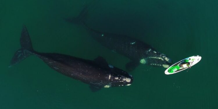 El premio que recibió Argentina en los Oscar del turismo mundial
