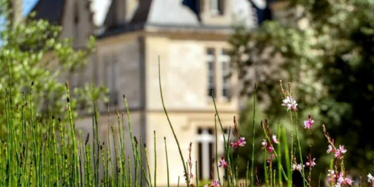 Escapadas para los amantes del vino por Francia e Italia