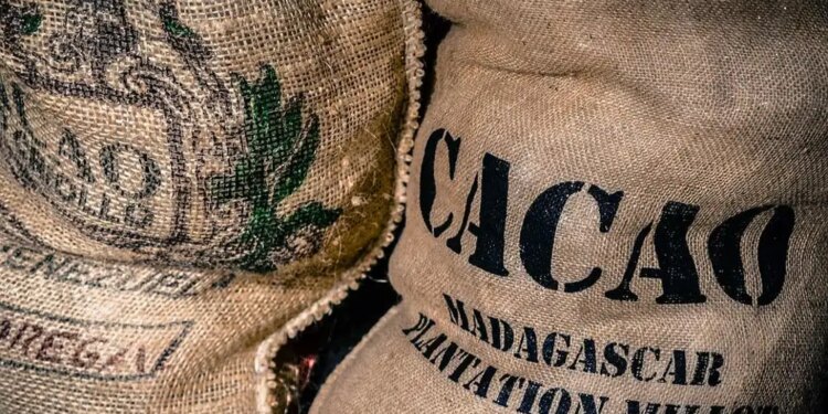 Cacao