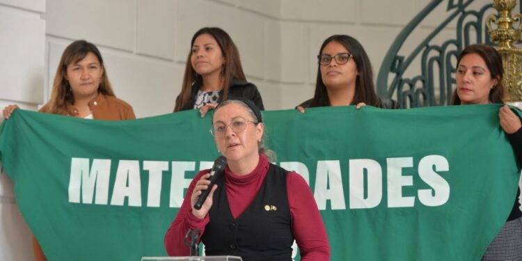Morena busca establecer Maternidades por Elección en la CDMX