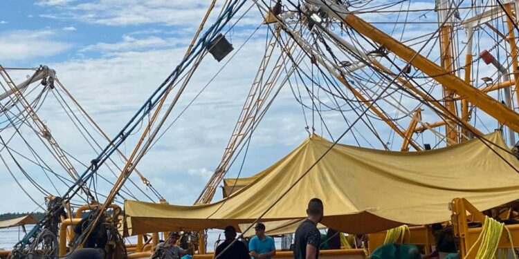 Hora de zarpar. Pescadores 'empacan' sus ilusiones para llevarlas a altamar