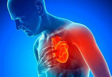 Anuncia para el 29 de septiembre como el «Dia mundial del Corazon» anuncio hecho por Novartis y Deloitte