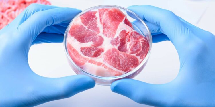 Icex subvenciona el desarrollo industrial de la carne cultivada de BioTech Foods