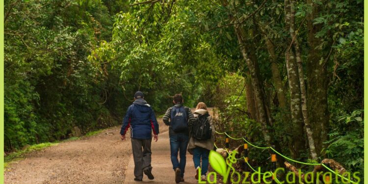 "Iguazú Destino Sustentable": buscando el sello como ciudad será presentado en la FIT 2022