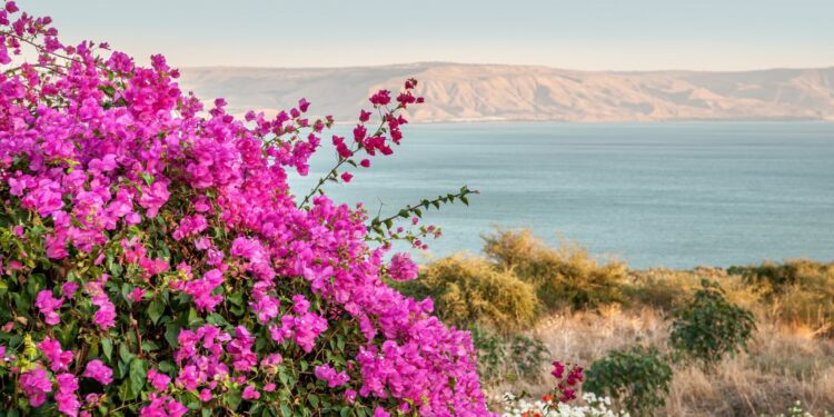 Israel, un destino para descubrir en otoño