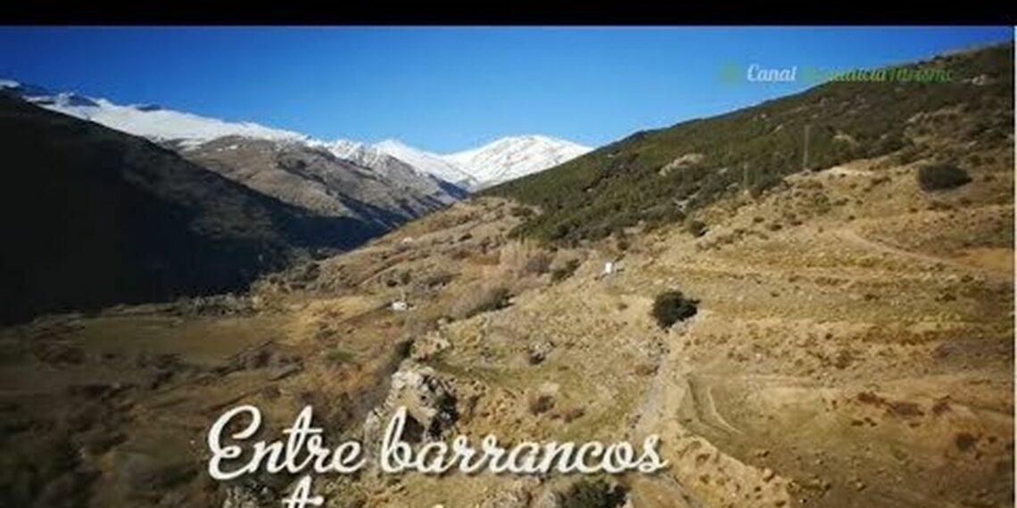 La mejor ruta por carretera para conocer lo mejor de la provincia de Granada