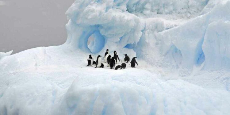 La nueva forma de viajar respetando y disfrutando del medioambiente: cinco destinos