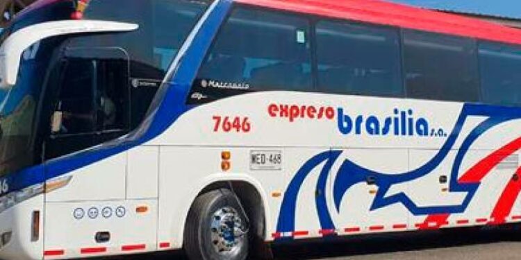 La ruta de la transformación digital de Expreso Brasilia | EL UNIVERSAL
