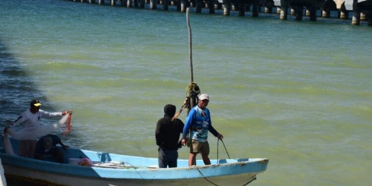 Levantan restricciones en playas de Progreso tras casi un mes de cierre por la marea roja