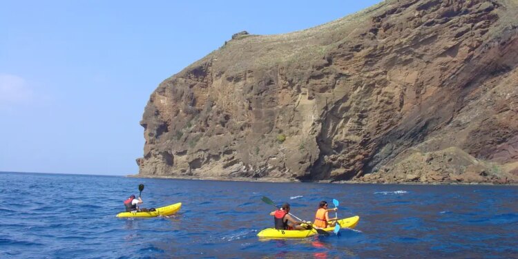 Kayak