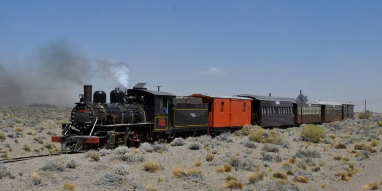 Mirá qué belleza estos 5 viajes en tren para descubrir la primavera en la Patagonia