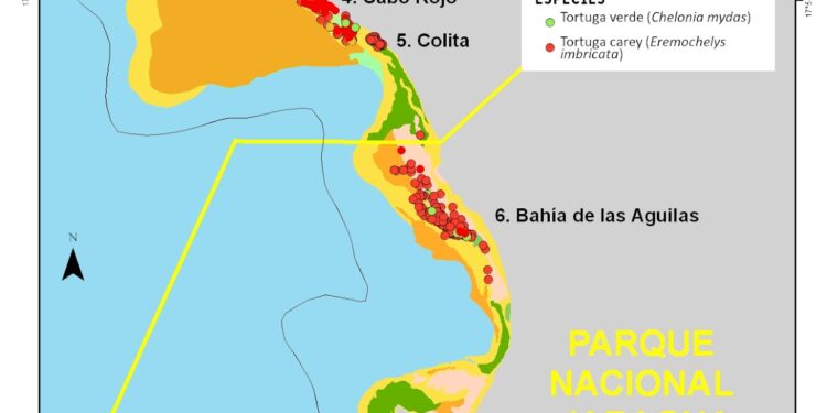 Muelle cruceros podría ser amenaza para arrecife Cabo Rojo
