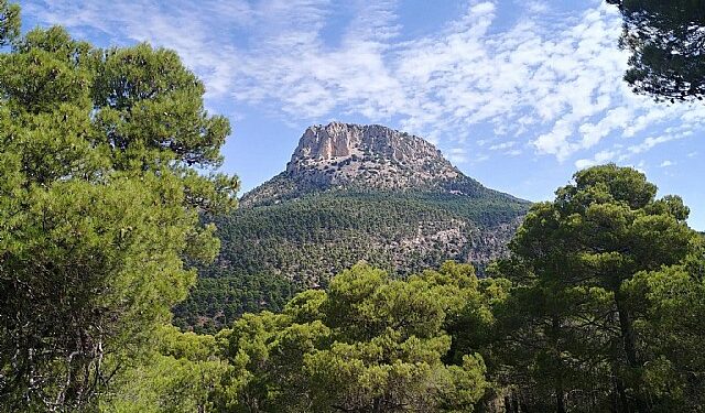 Murcia celebra el Día Mundial del Turismo tras un verano de récord de visitantes