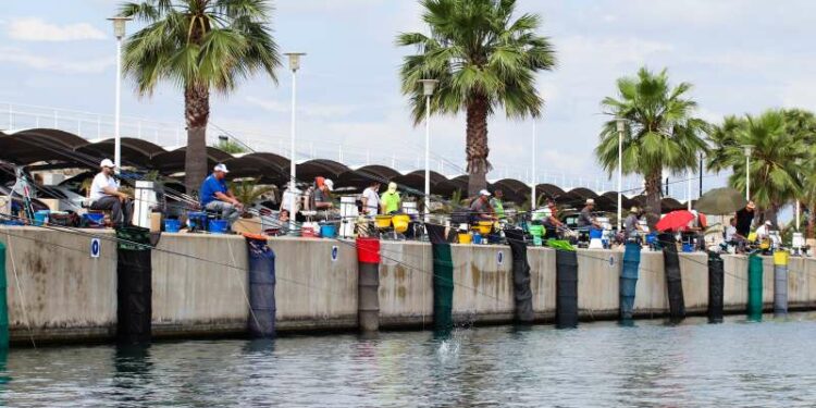 Optimist, Crucero y Pesca, protagonistas en un intenso fin de semana en el Real Club Náut