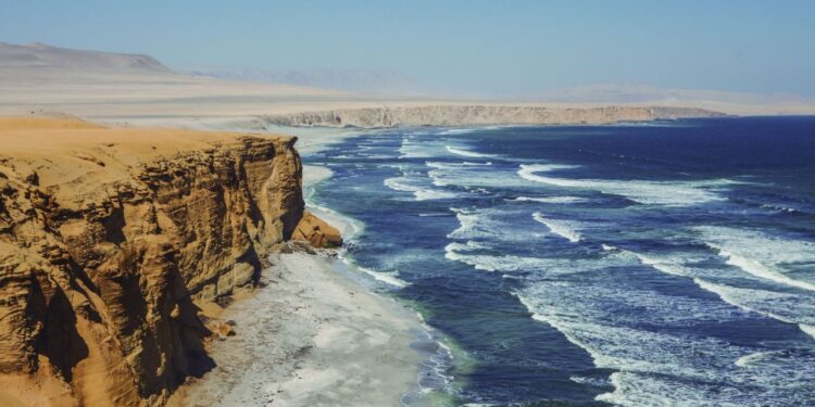Paracas: Nuevas agencias de viajes muestran interés en promover destino turístico