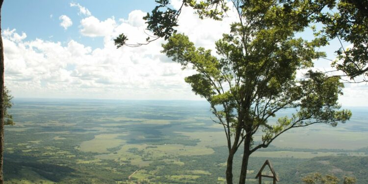 Paraguay es designado destino líder en turismo de naturaleza para Sudamérica