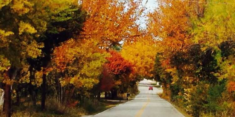 Parque estatal entre los mejores para apreciar el otoño – Telemundo Chicago