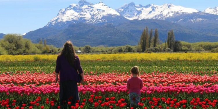 Por qué Chubut es una provincia ideal para aprovechar el Previaje en octubre. (Foto: Turismo Nación)