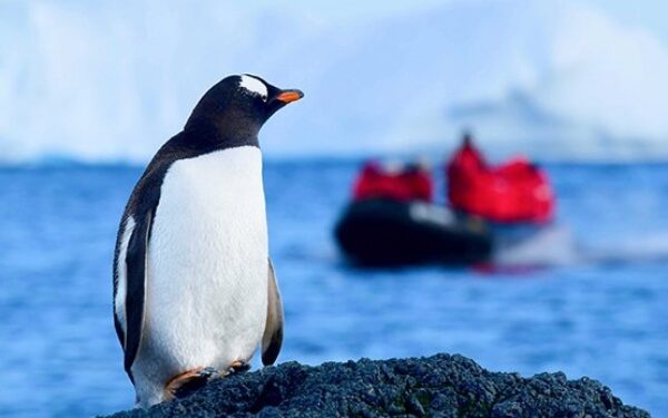 Poseidon Expeditions es Mejor Operador de Cruceros de Expedición Polar