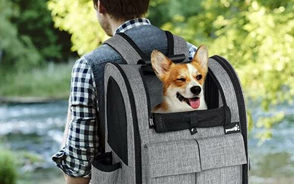 Así es la mochila con ruedas para mascotas más vendida de Amazon