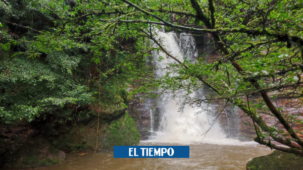 Turismo en Colombia: proyectos de excombatientes de las Farc - Servicios - Justicia