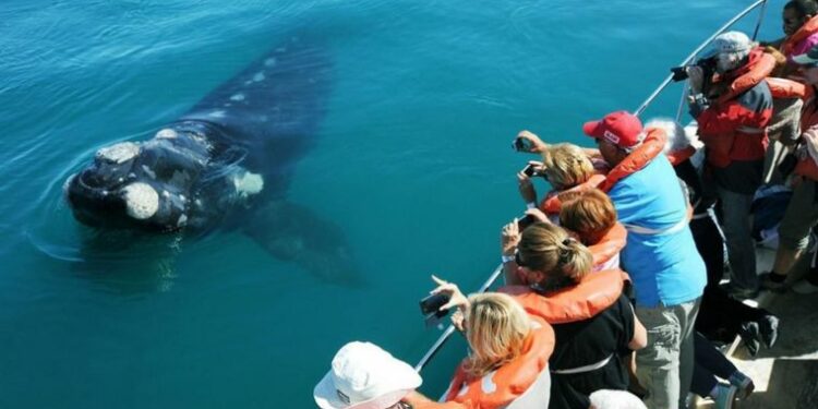 Turismo sustentable: 5 experiencias para disfrutar en nuestro país - Argentina