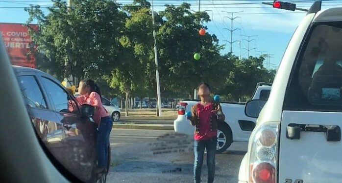 FOTO: Luz Noticias | Temática.