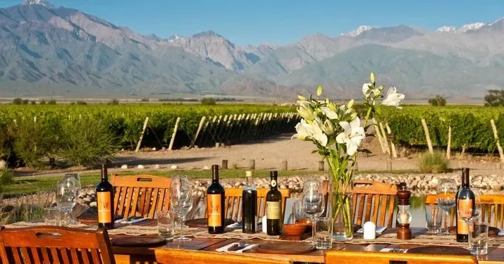 bodegas y viñedos