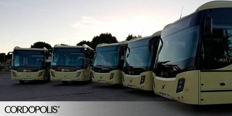 Viajes gratis en autobuses del Consorcio de Transporte Metropolitano por el Día sin Coche