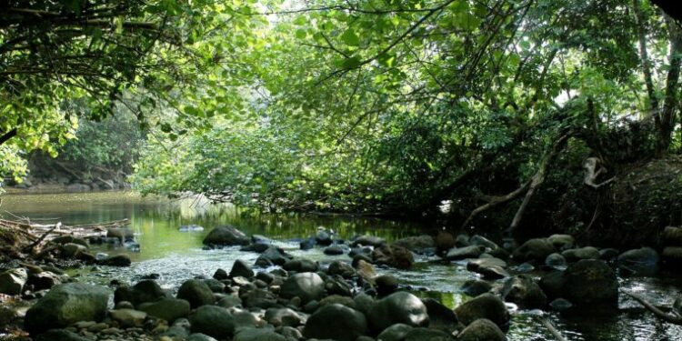 Madre e hija venezolanas murieron al intentar cruzar la selva del Darién