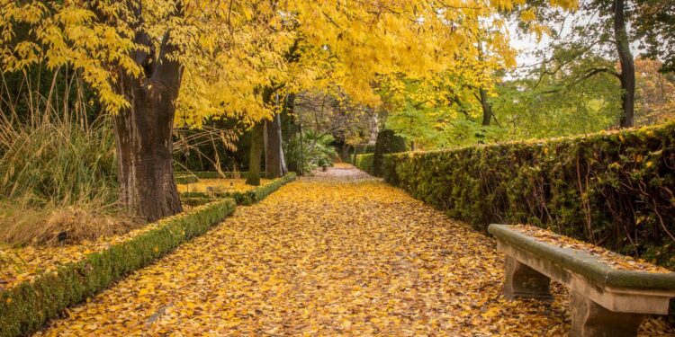 ¿Por qué estas dos ciudades españolas son perfectas para visitar en otoño?