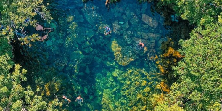 cenote-corazon