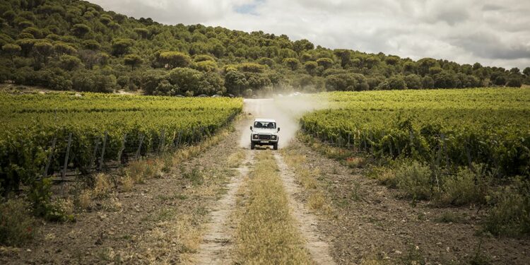 Abadía Retuerta logra la posición 29 en el top 50 de los mejores destinos enoturísticos del mundo por “The World’s Best Vineyards 2022″