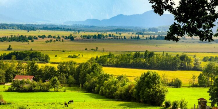 Alemania, vivir la naturaleza con experiencias extraordinarias