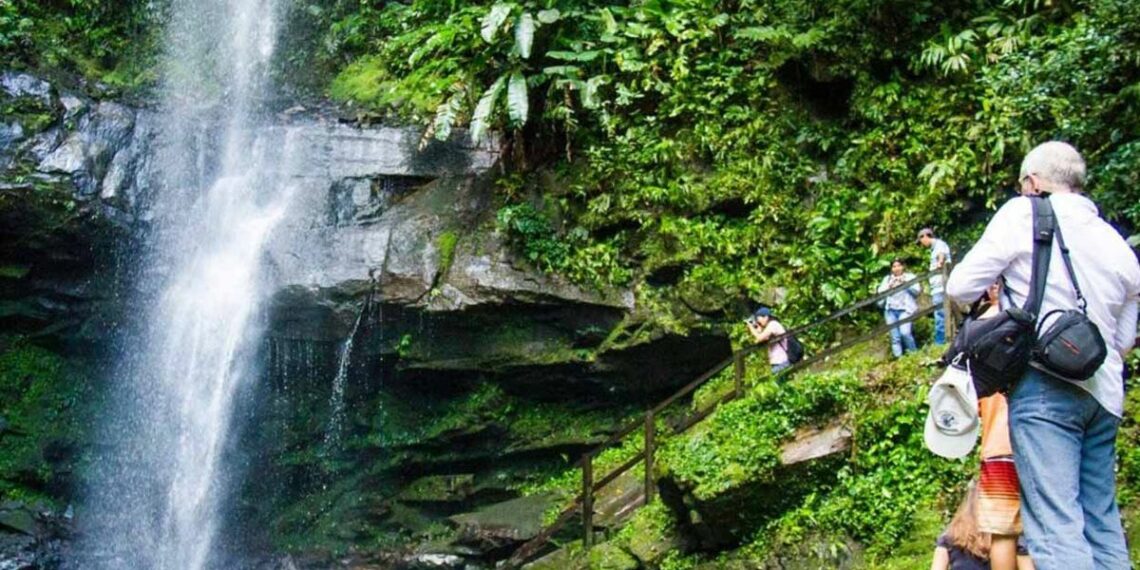 Alto Mayo figura en Top 100 de mejores historias de Green Destinations | Sociedad
